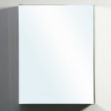 Confiant 20" Medicine Cabinet in Mirror