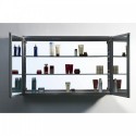Confiant 40" Medicine Cabinet in Mirror