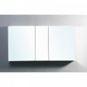 Confiant 50" Medicine Cabinet in Mirror