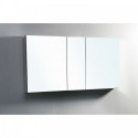Confiant 50" Medicine Cabinet in Mirror