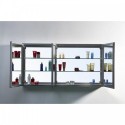 Confiant 50" Medicine Cabinet in Mirror