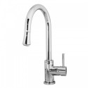 Sedna Polished Chrome Single Handle Faucet