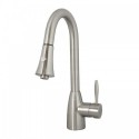 Varuna Brushed Nickel Single Handle Faucet