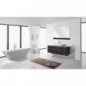 Biagio 55" Single Bathroom Vanity in Espresso with Aqua Tempered Glass Top and Odd Sink with Polished Chrome Faucet and Mirror