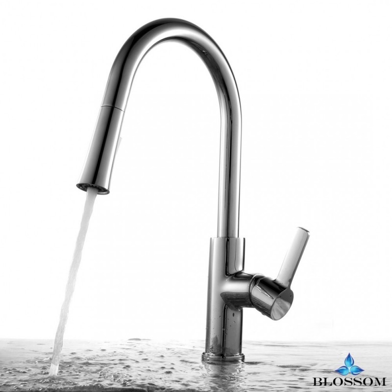 Single Handle Pull Down Kitchen Faucet