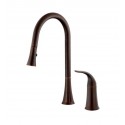 Danze D459022BR Antioch™ Single Handle Pull-Down Kitchen Faucet in Tumbled Bronze