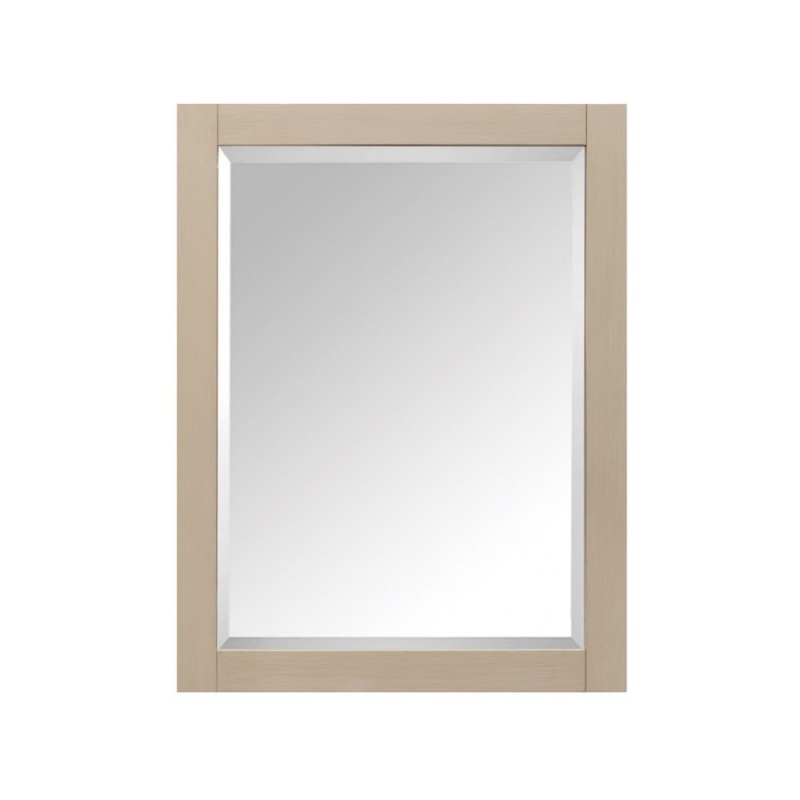 Avanity 24 in. Mirror Cabinet for Modero
