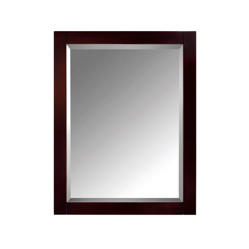 Avanity 24 in. Mirror Cabinet for Delano