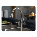 Brizo 63070LF Venuto Single Handle Pull-Down Kitchen Faucet with Softtouch
