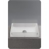 TOTO LLT151 Luminist™ Rectangle Vessel Lavatory