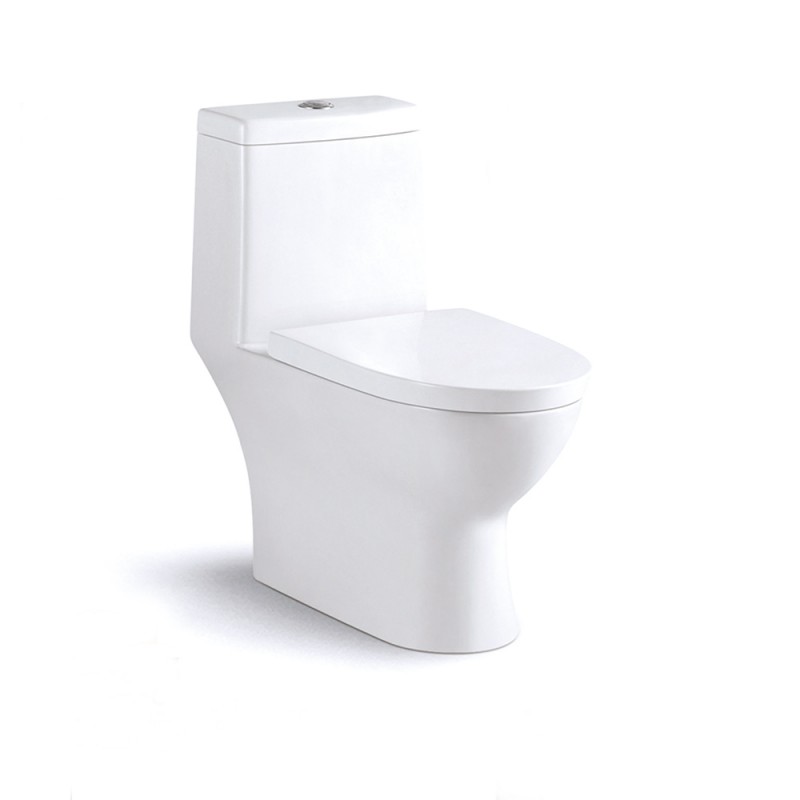 Alya 1.11 GPF Dual Flush One Piece Toilet